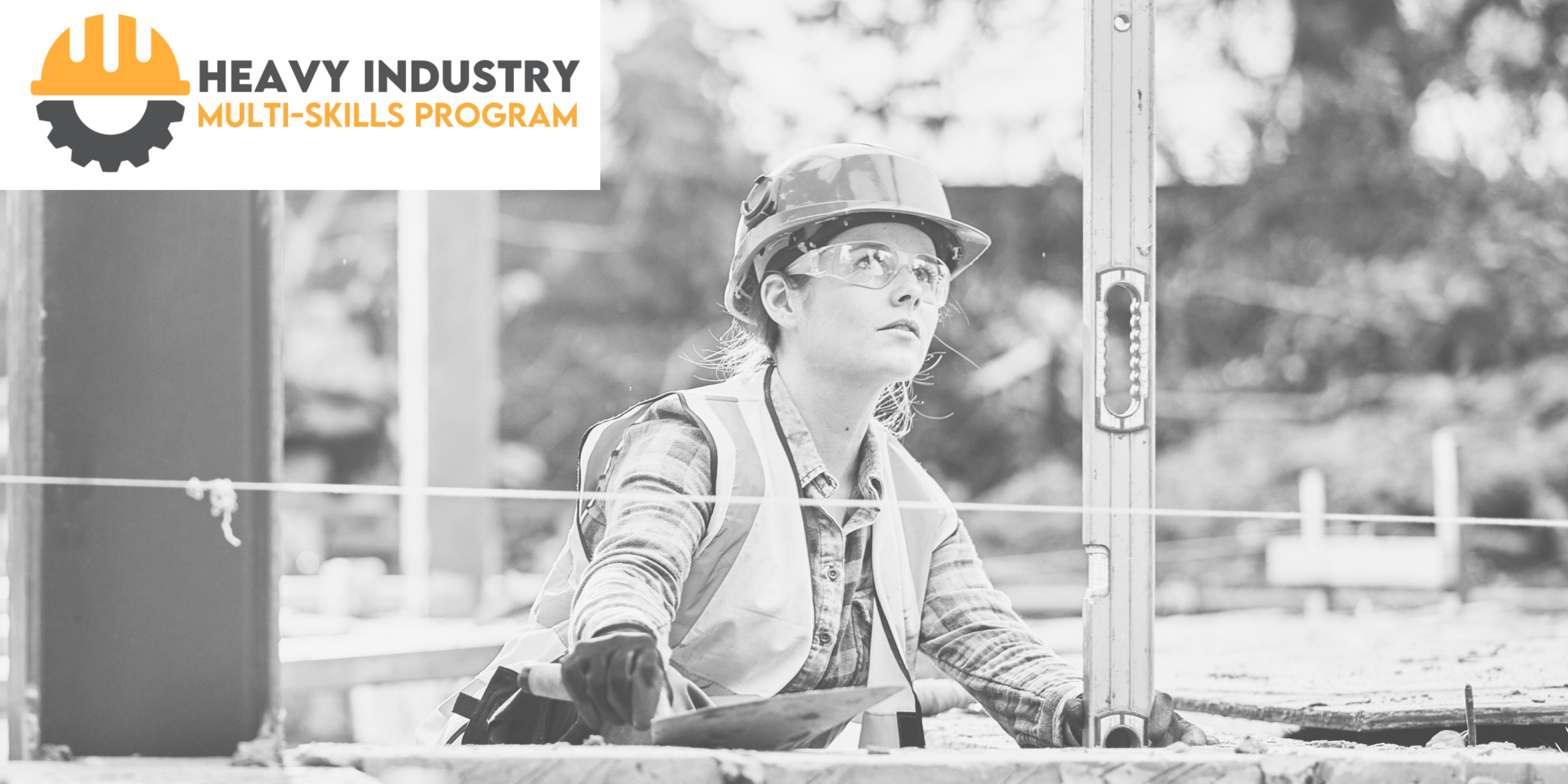 Heavy Industry Multi-Skills Program link
